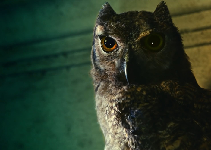 SAMSUNG - Night Owls